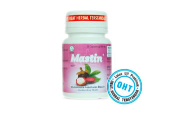 ジャムウ サプリ マスチン Mastin 30カプセル ボロブドゥール Borobudur