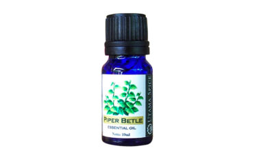 ウタマスパイス UTAMA SPICE　エッセンシャルオイル　バリ島 精油 アロマオイル　Piper Betle キンマ　10ml